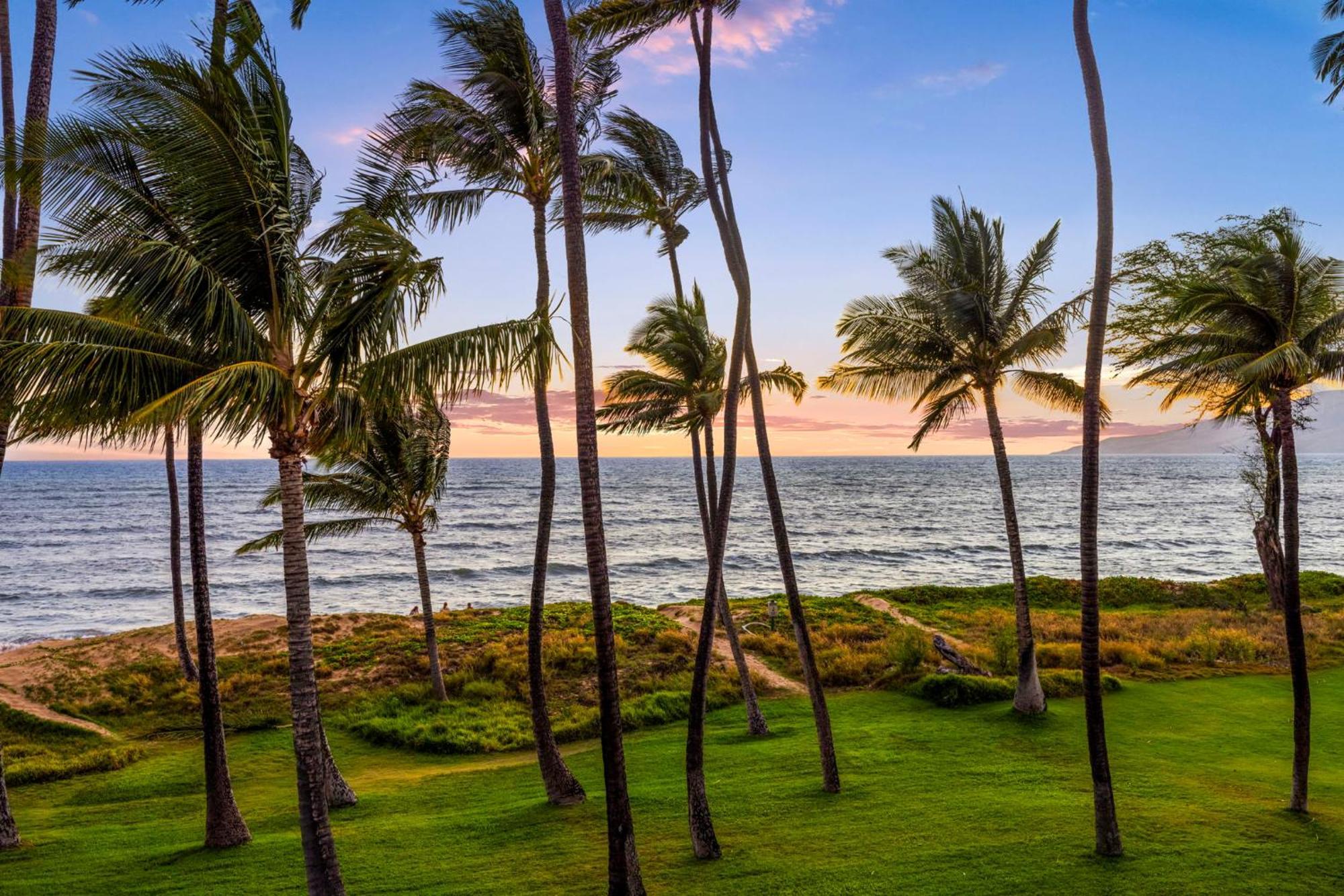 Hale Kai O'Kihei 317 Daire Dış mekan fotoğraf